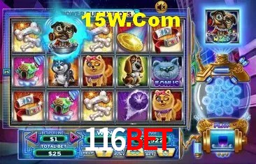 Sistemas de Segurança 116Bet